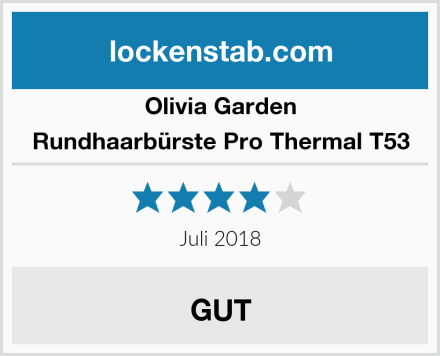 Olivia Garden Rundhaarbürste Pro Thermal T53 Test