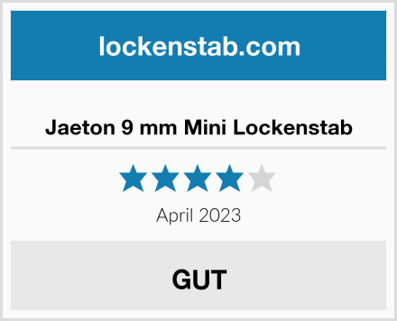  Jaeton 9 mm Mini Lockenstab Test