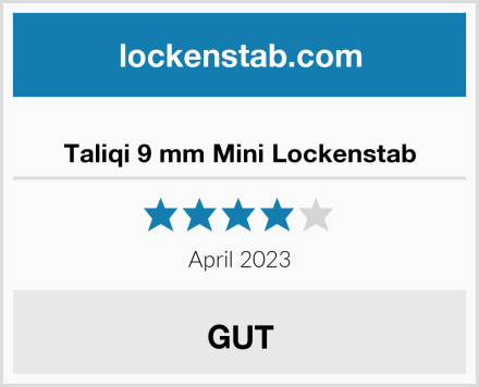  Taliqi 9 mm Mini Lockenstab Test