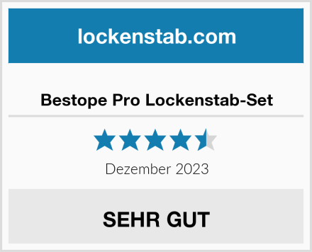  Bestope Pro Lockenstab-Set Test